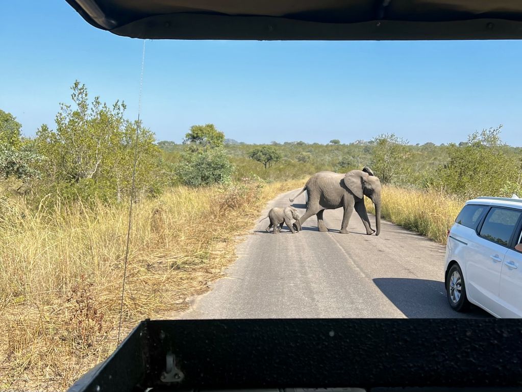 Kruger NP olifanten Zuid Afrika groepsrondreis 12